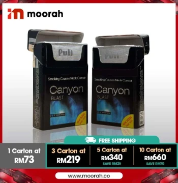 Canyon Blast Ice (1 Carton / 10 Packs)